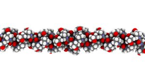 Collagen crosslinking (CXL)